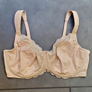 Glamorise Underwire Bra 44DD